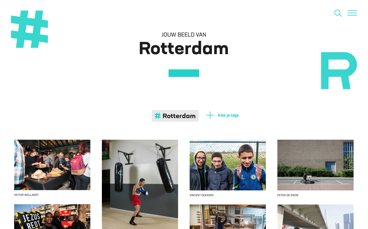 Het Beeld van Rotterdam