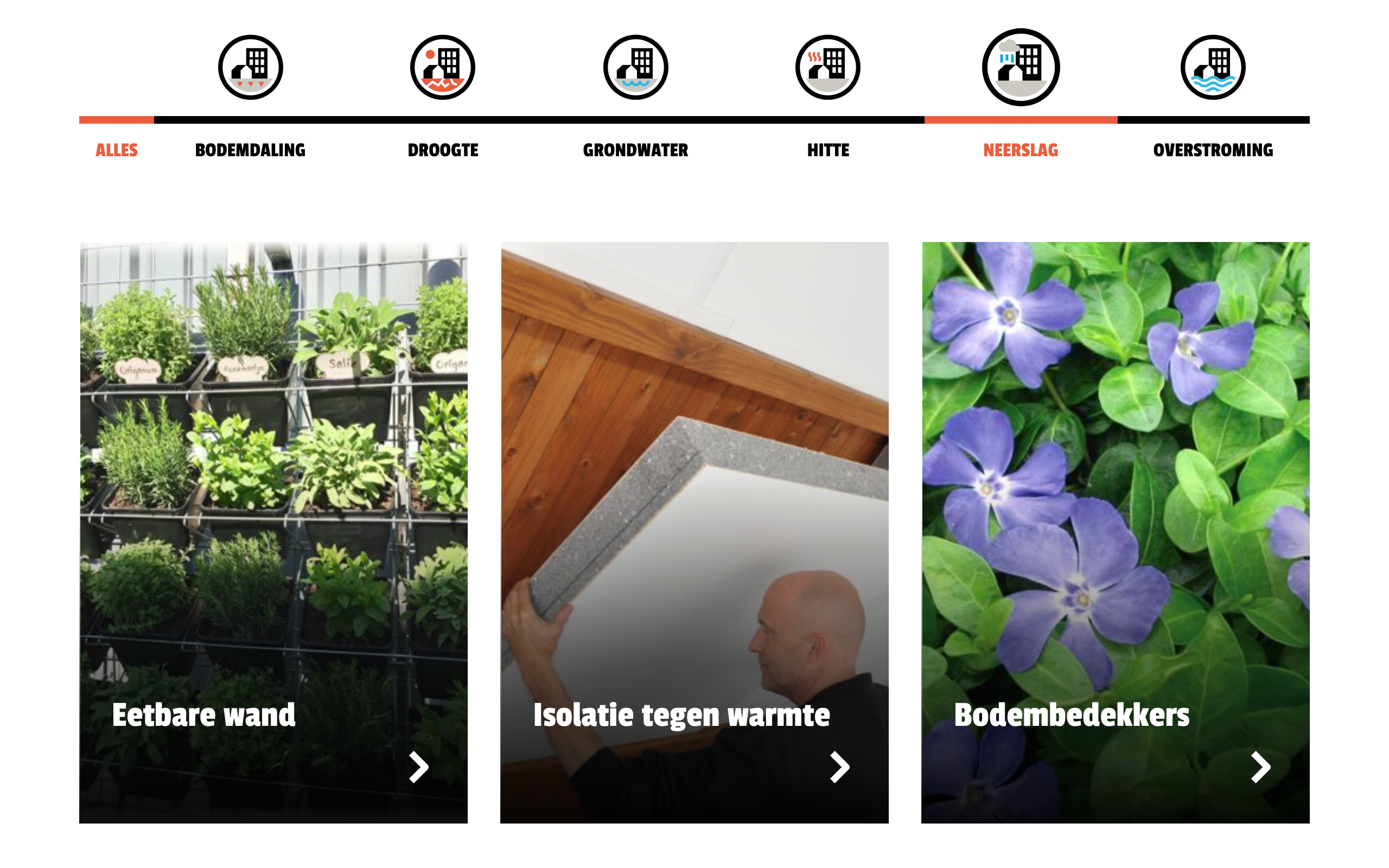 Rotterdams Weerwoord