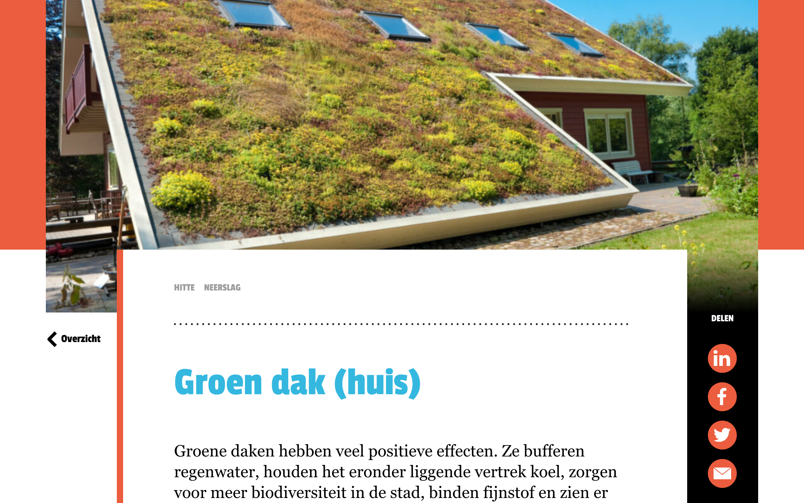 Rotterdams Weerwoord
